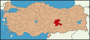 Begüm Polat Kimdir?