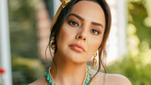 Ebru Gündeş Kimdir?